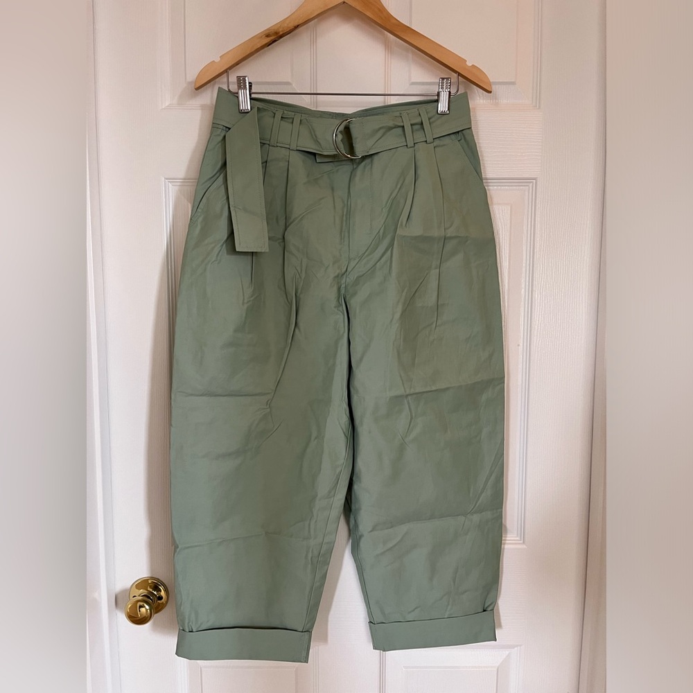 Maeve Light Green Cropped Ankle Pants - Picture 3 of 12